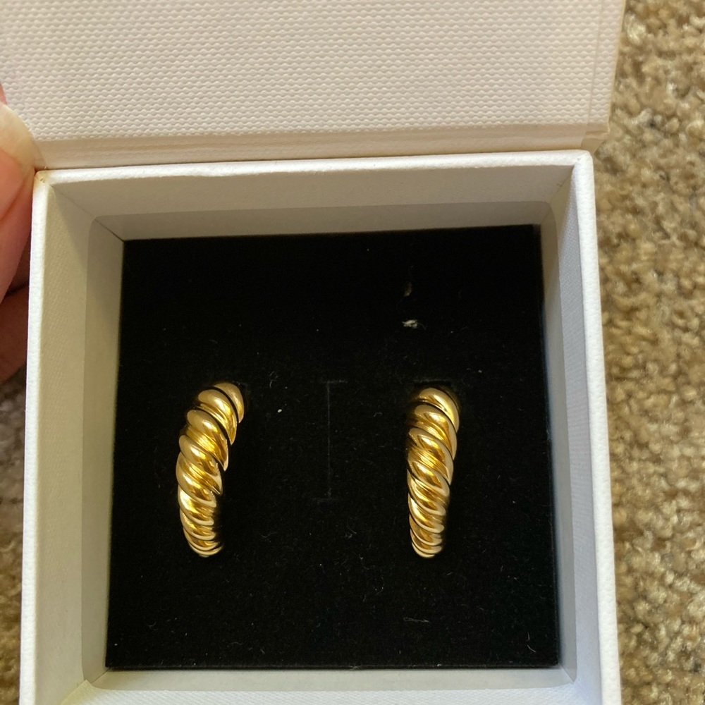 Large Croissant Dome Hoops